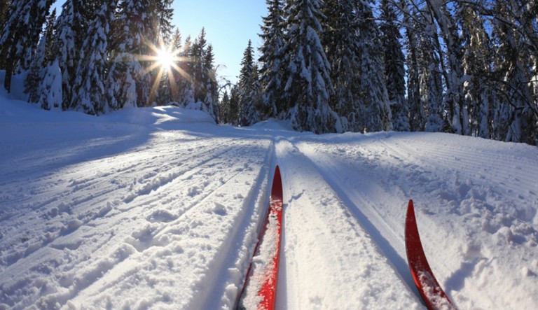 В Новой Москве откроются более 30 открытых катков и лыжных трасс